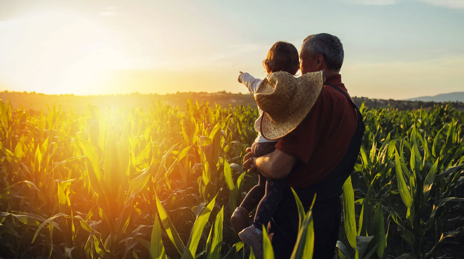 A farmer holds a child as they both overlook a field of crops