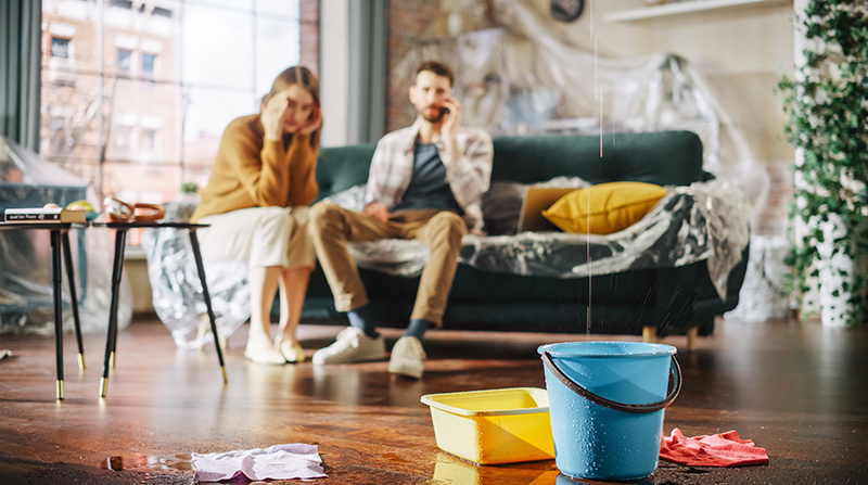 Water drips from a ceiling into buckets. A distressed couple sits on a sofa in the background, on the phone with their insurance company